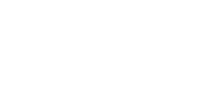 Willer Schuhe Logo